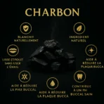 Miswak Carbón - Imagen 4