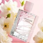 Optimystic Paradox  - Imagen 3